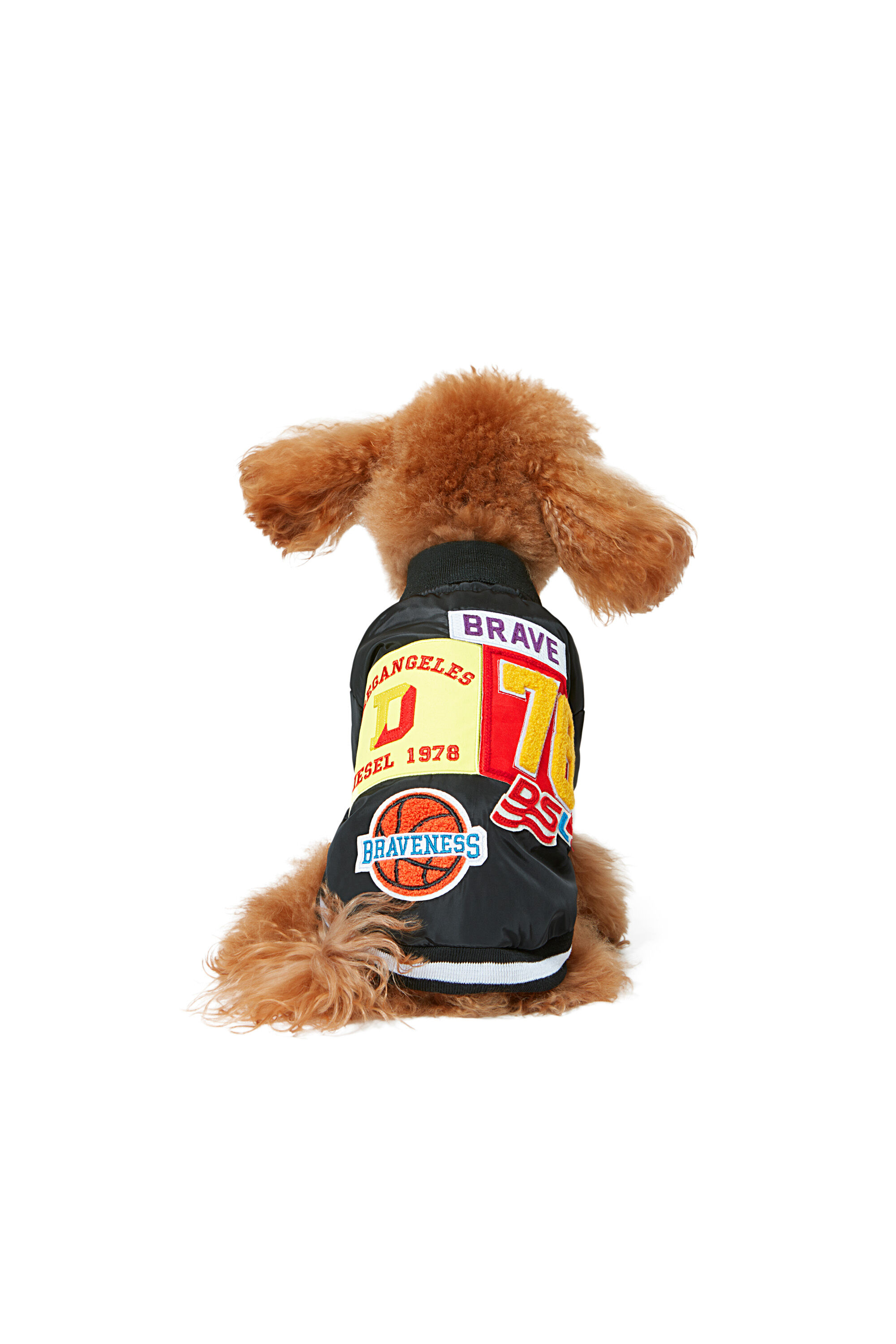 Diesel - PET-CHWORK, Black - Image 4