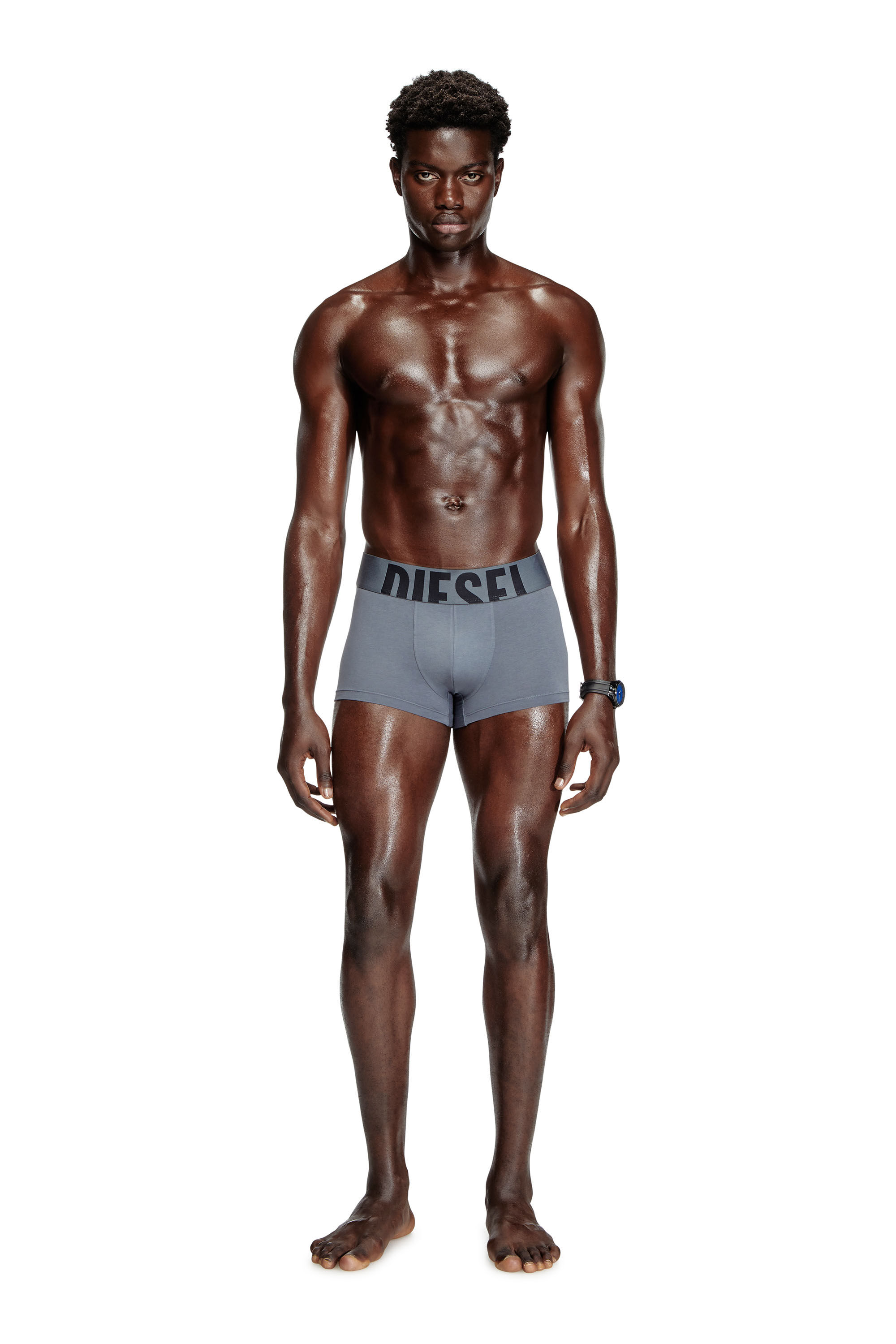 Diesel - UMBX-DAMIENTHREEPACK-5.5EL, Man's Three-pack boxer briefs in stretch cotton in Red/Grey - 1