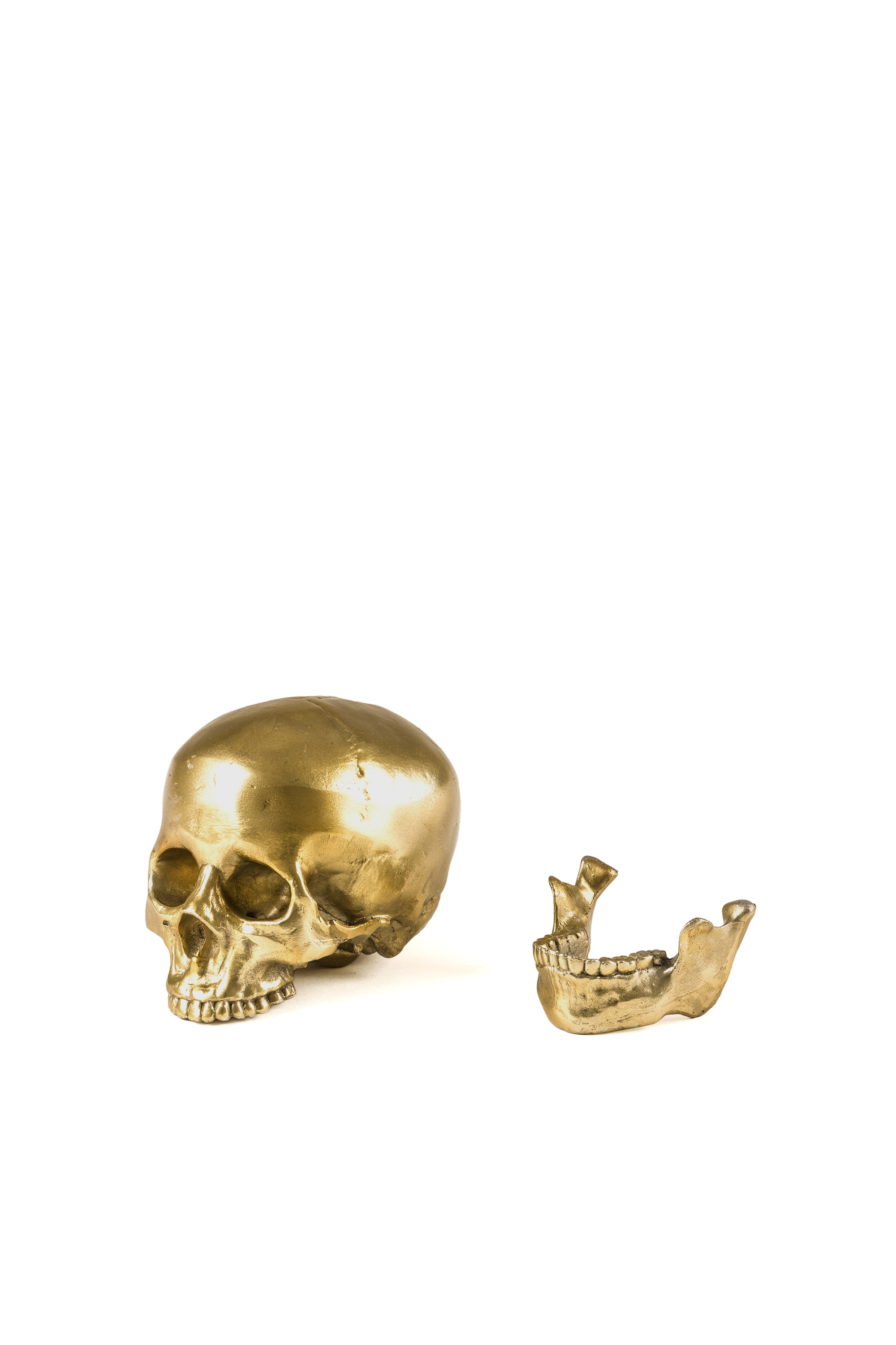 Diesel - 10891 Wunderkammer, Unisex's "Culture Skullture" Wunderkammer Human Skull in Gold - 4