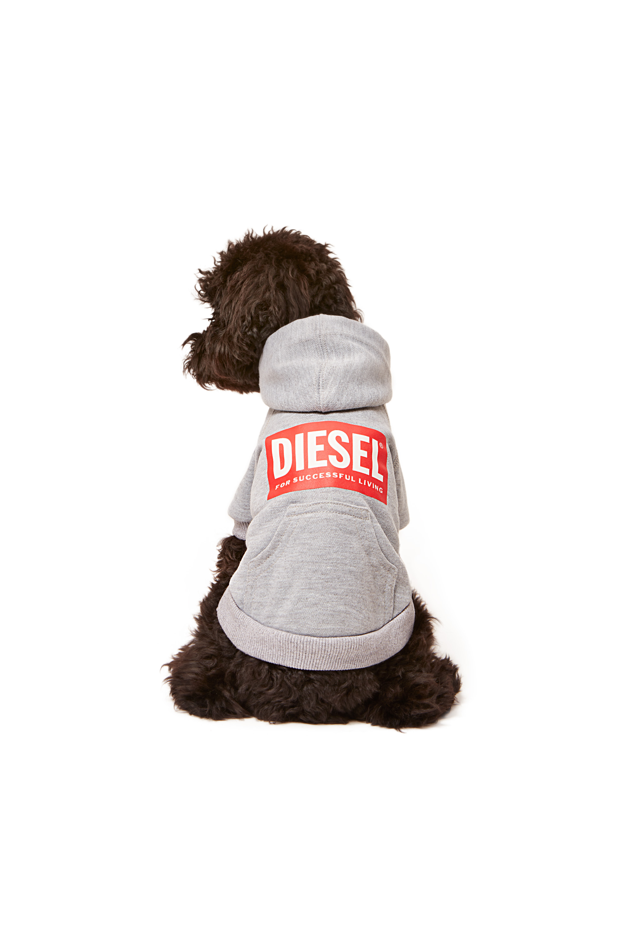 Diesel - PET-SCOTTO, Grey - Image 4
