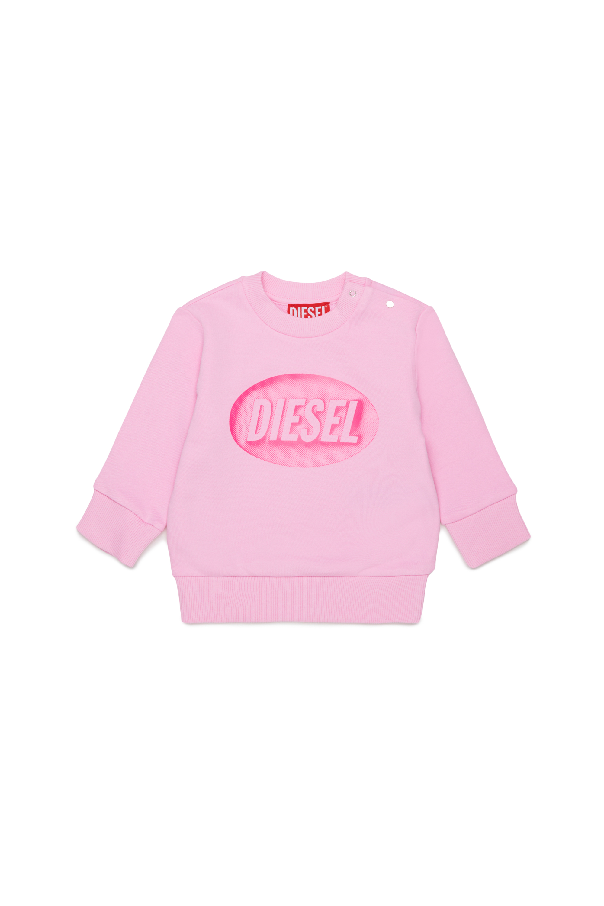 SDSELB, Pink