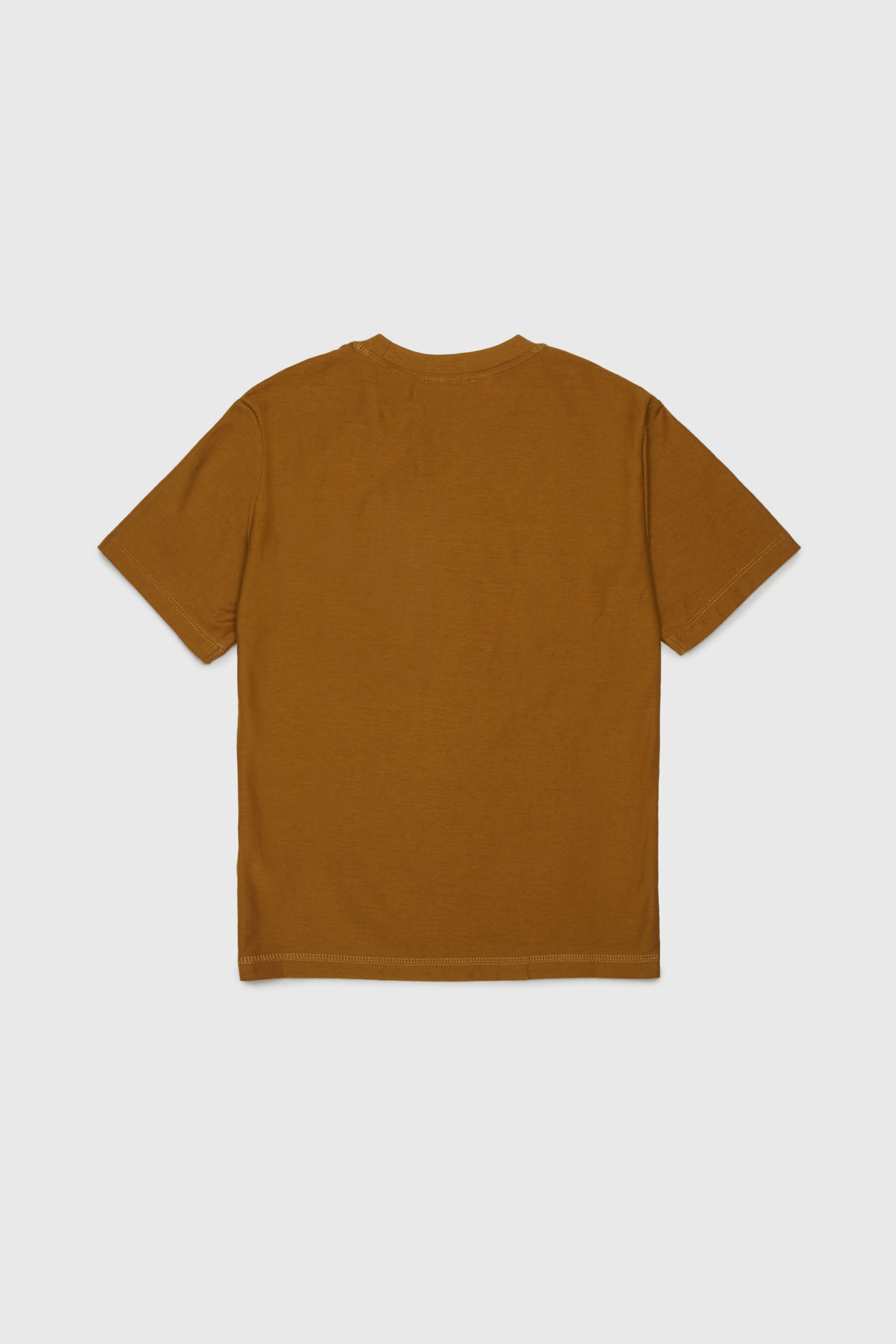 Diesel - TFRIT OVER, Man's T-shirt with Oval D logo and streaky effect in Brown - 2