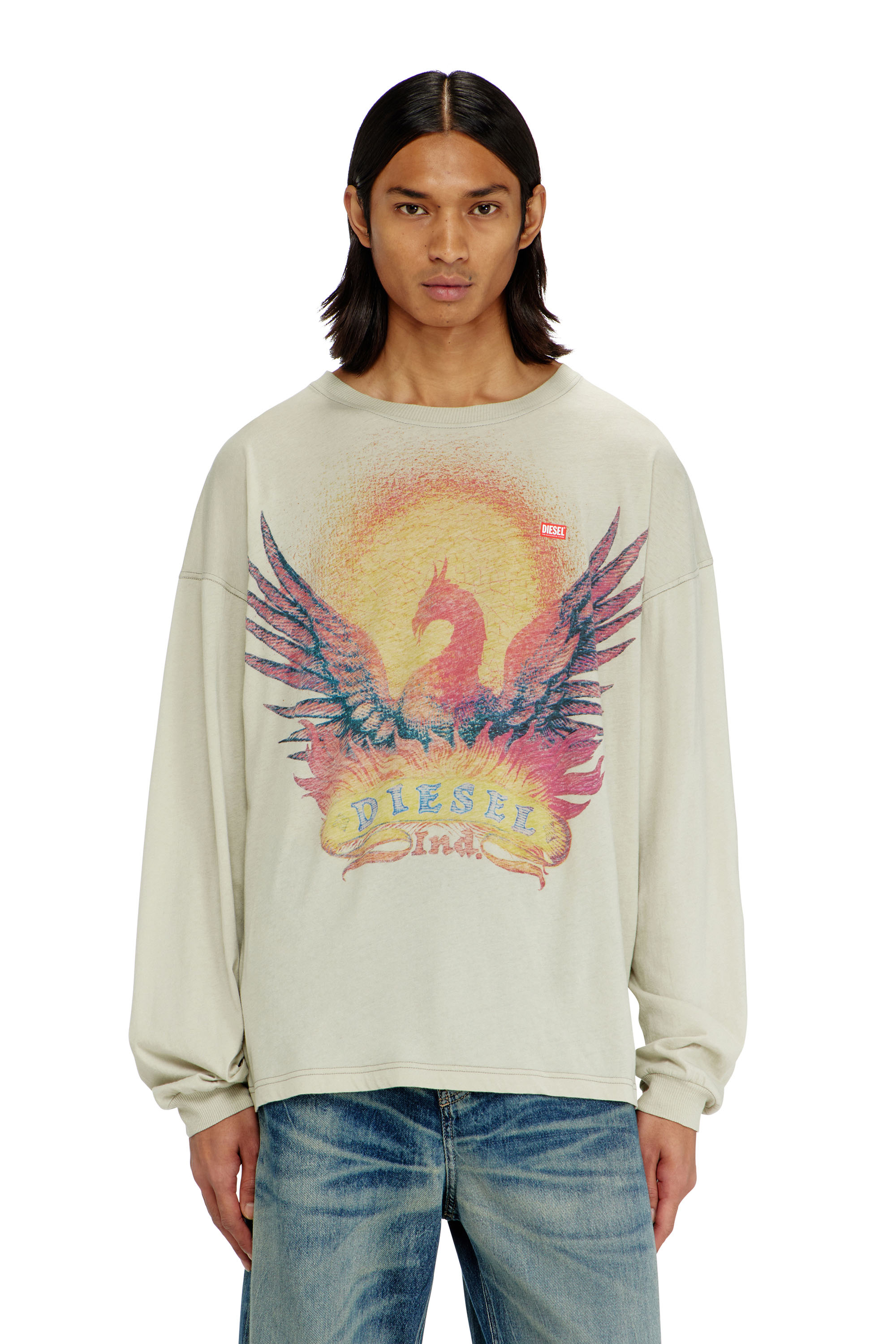 Diesel - T-BOXT-LS-AA1, Man's Long sleeve T-shirt with Phoenix graphic in Beige - 1