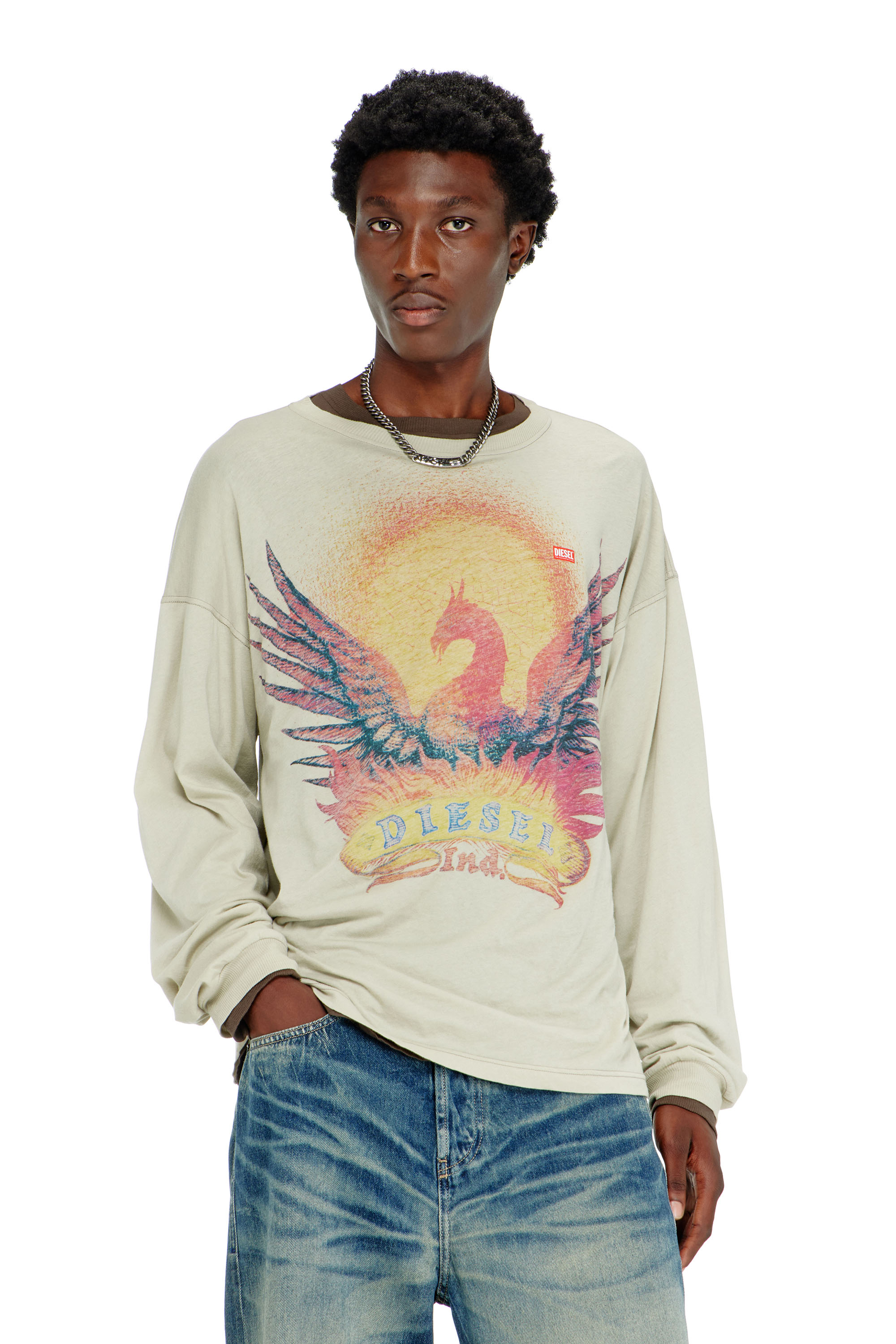 Diesel - T-BOXT-LS-AA1, Man's Long sleeve T-shirt with Phoenix graphic in Beige - 1