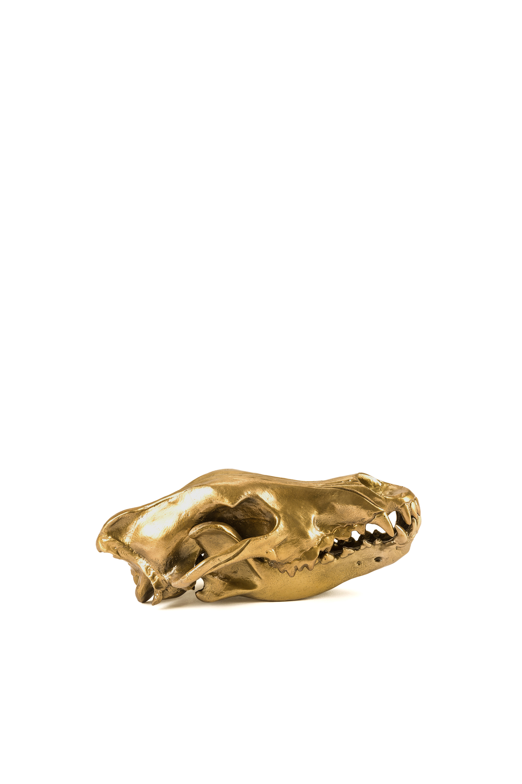 Diesel - 10892 Wunderkammer, Unisex's "Wolf This Way" Wunderkammer Wolf Skull in Gold - 2