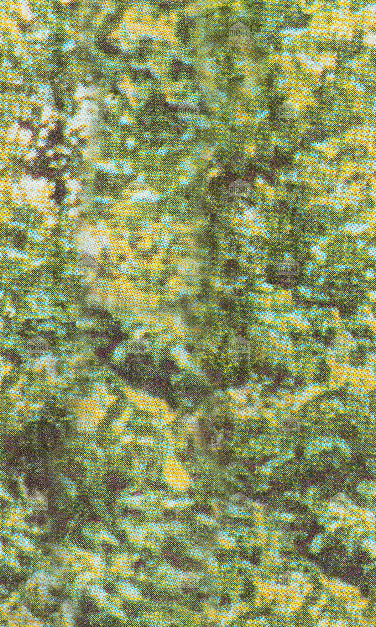 FOREST CAMO, ED_DSFC2101 - Wallpapers