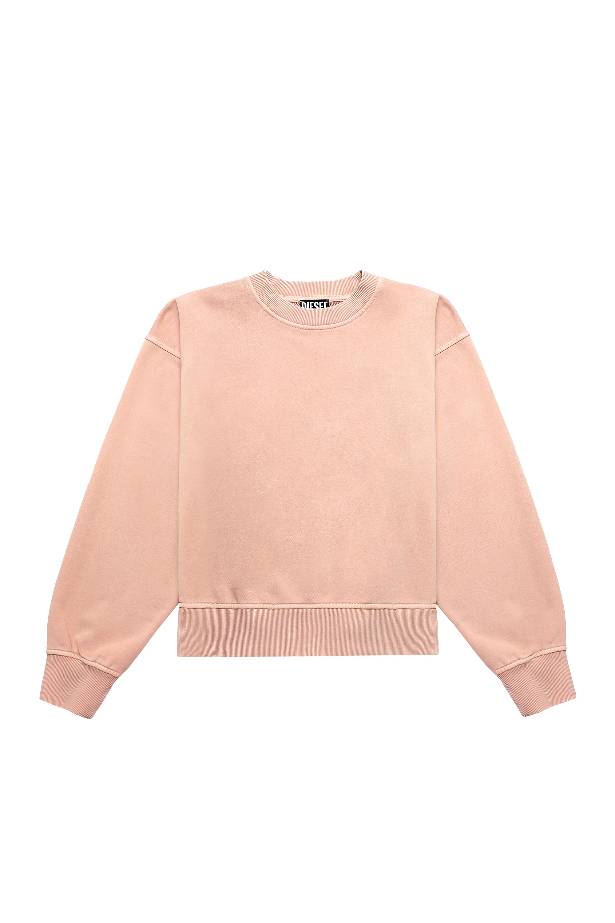 F-LYM-B1, Face Powder - Sweaters