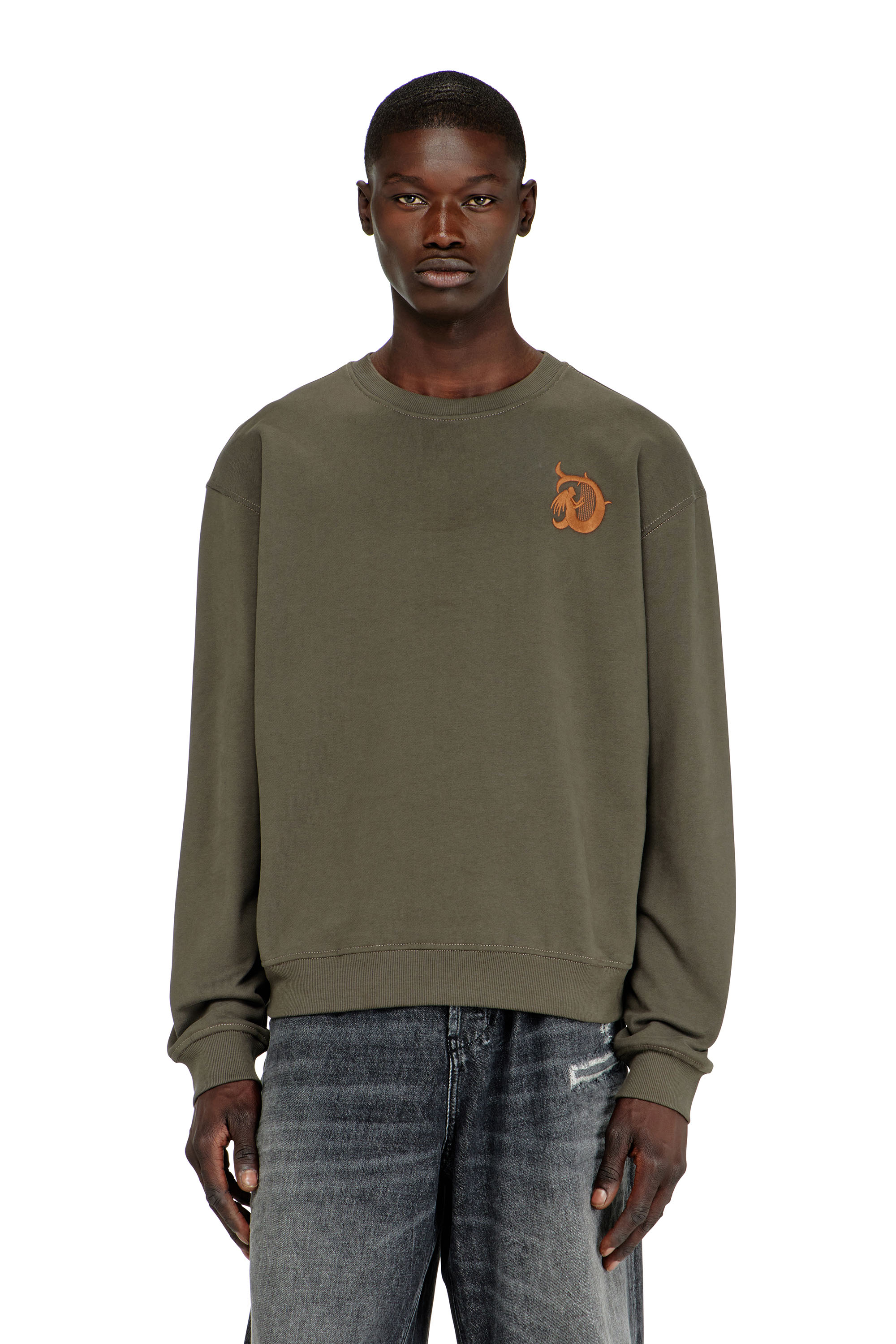 Diesel - S-NORM-AA4, Man's Sweatshirt with embroidery and flock print in Military Green - 1