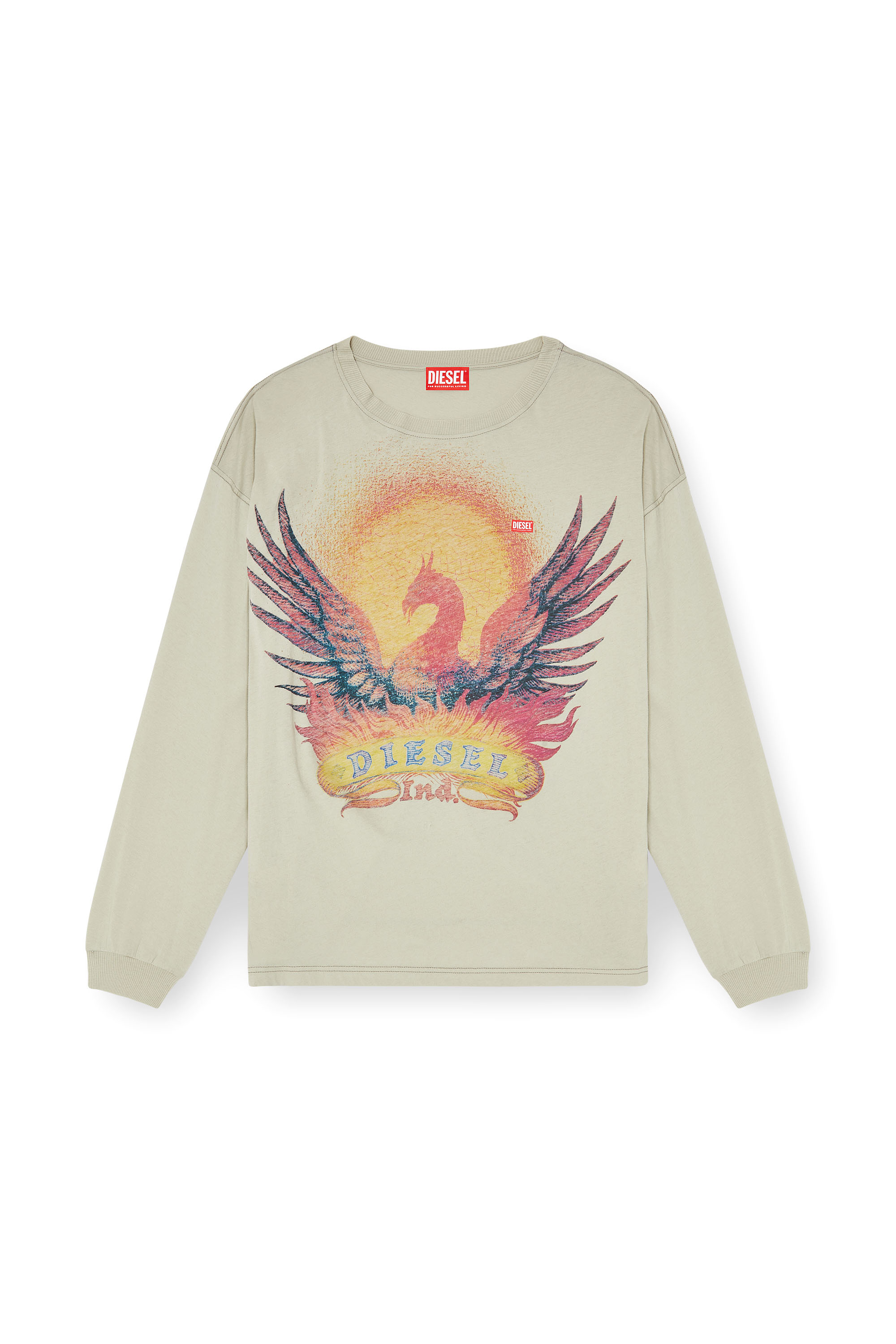 Diesel - T-BOXT-LS-AA1, Man's Long sleeve T-shirt with Phoenix graphic in Beige - 3
