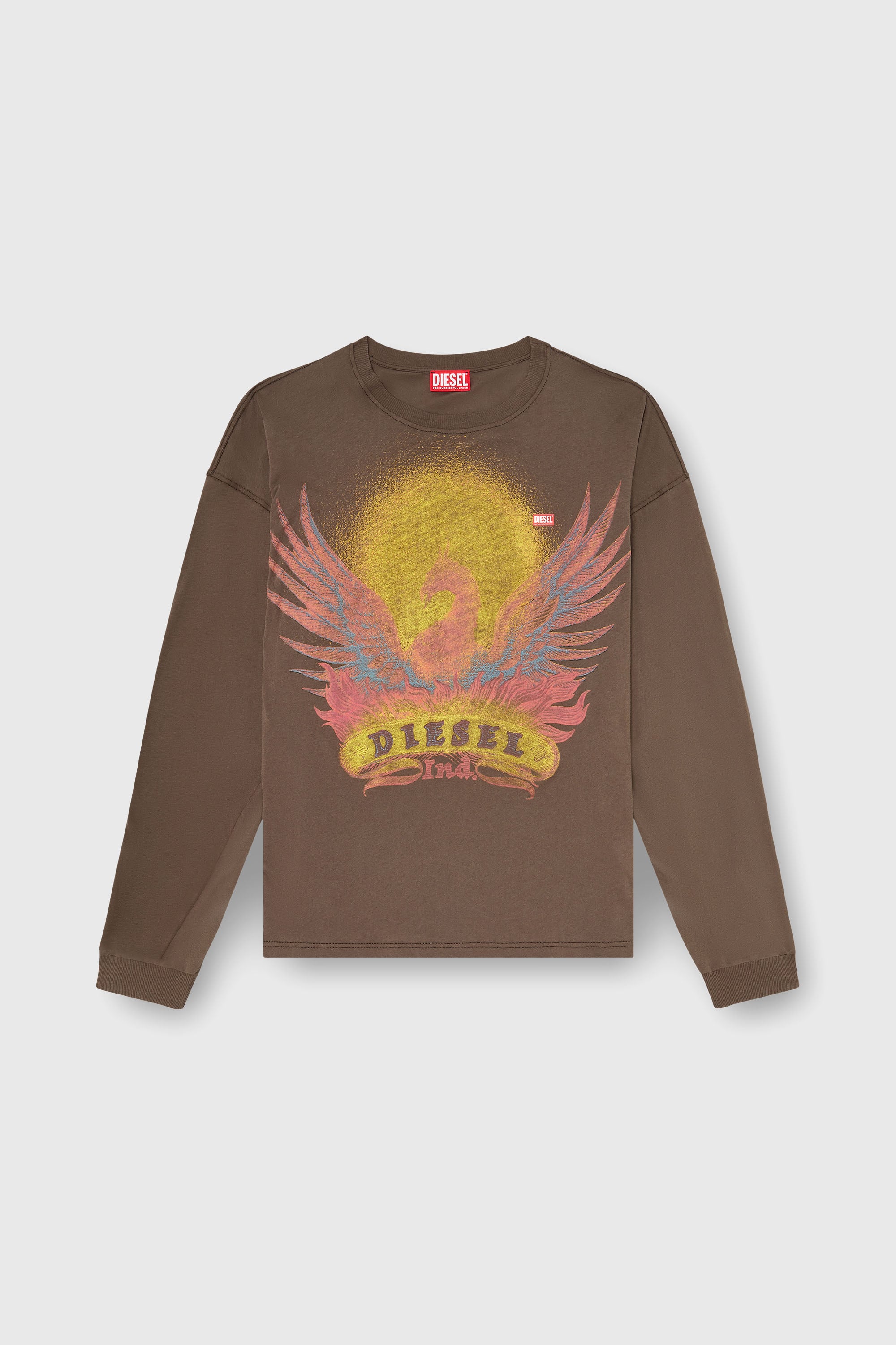 Diesel - T-BOXT-LS-AA1, Man's Long sleeve T-shirt with Phoenix graphic in Brown - 2